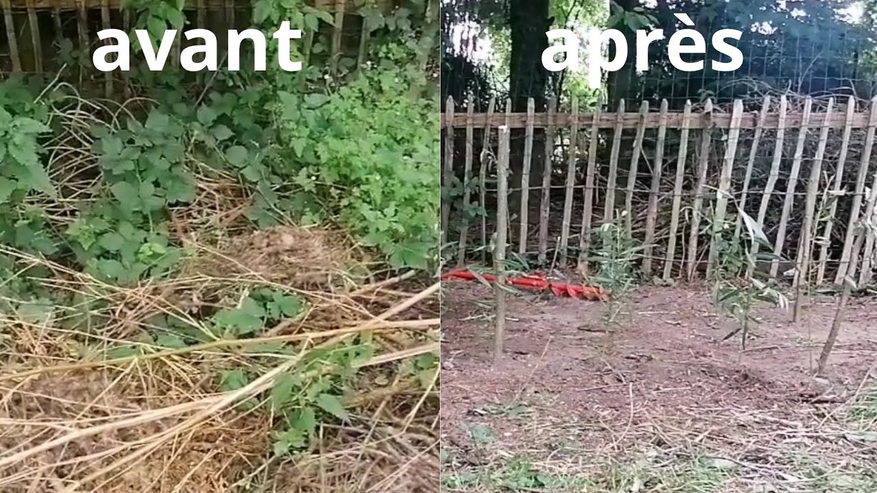 construction d'une haie sèche vivante !