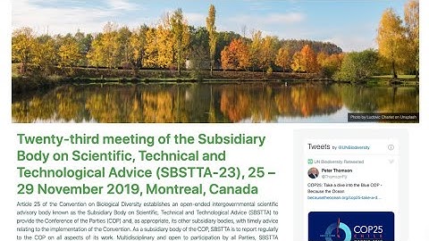 SBSTTA 23 - Friday Nov 29th, Afternoon Session, 3PM Montreal