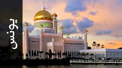سورة يونس هاني الرفاعي - Surah Yunus Hani Arrifai