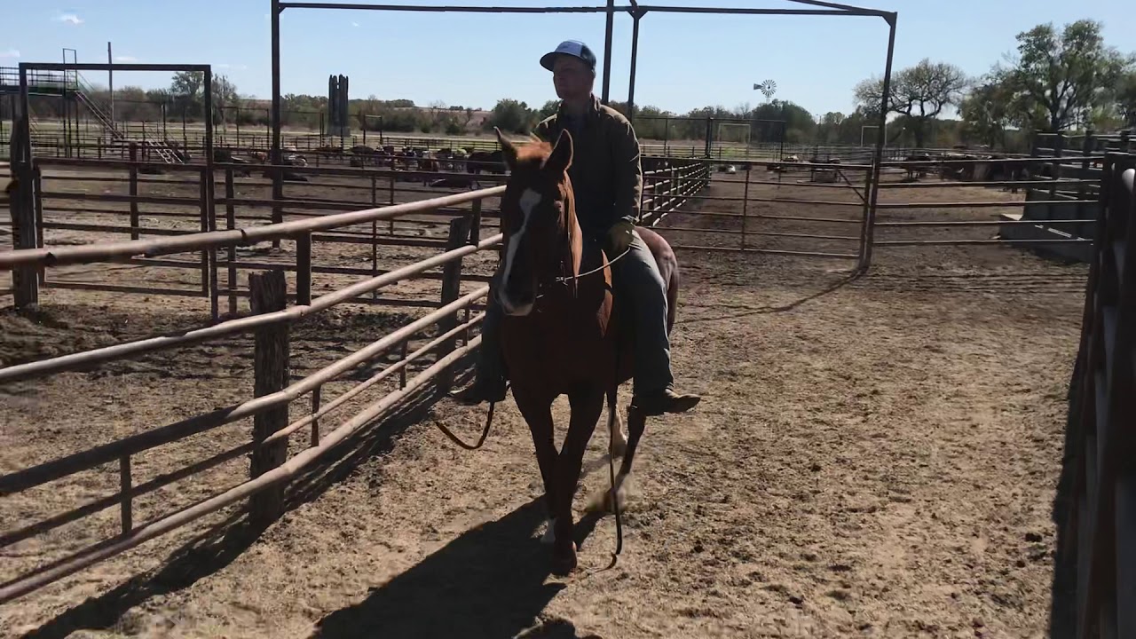 Kansas kill pen YouTube