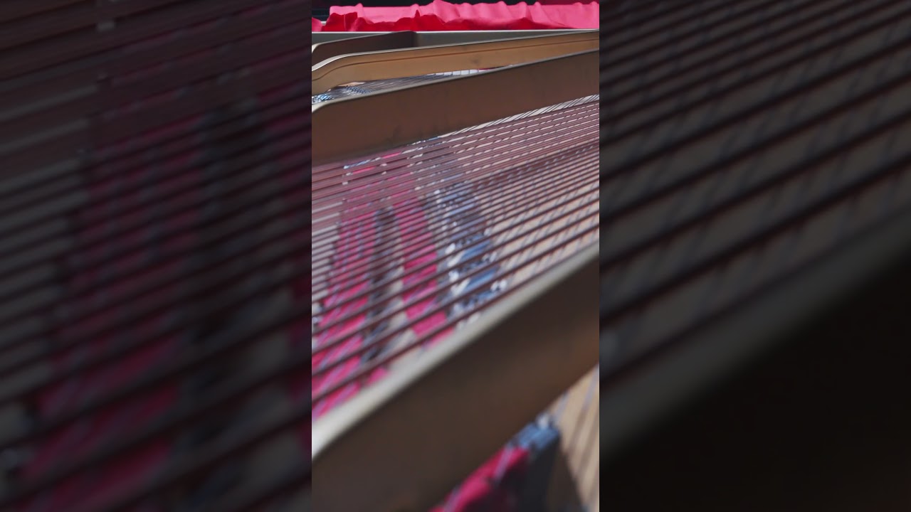 The Fire Sermon Music Video ft. Ronan Apcar (1) 