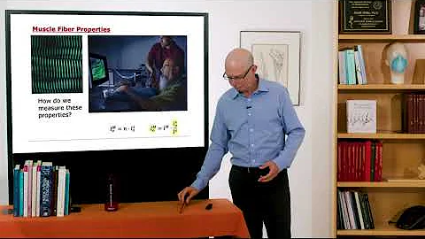 Biomechanics of Movement | Lecture 5.3: Muscle Architecture: How Form Influences Function