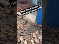 new cow house 🏠 #newtrend #shortsvideo @constructionsite6870 @BuzzFeedVideo @jhousejr.