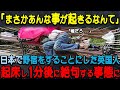 【海外の反応】「まさかあんなことが起こるなんて」日本で野宿をすることにした英国人のバックパッカーがまさかの事態に遭遇し衝撃を受けることに…