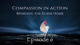 Compassion In Action - Episode 6