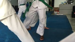 Learning Hapkido