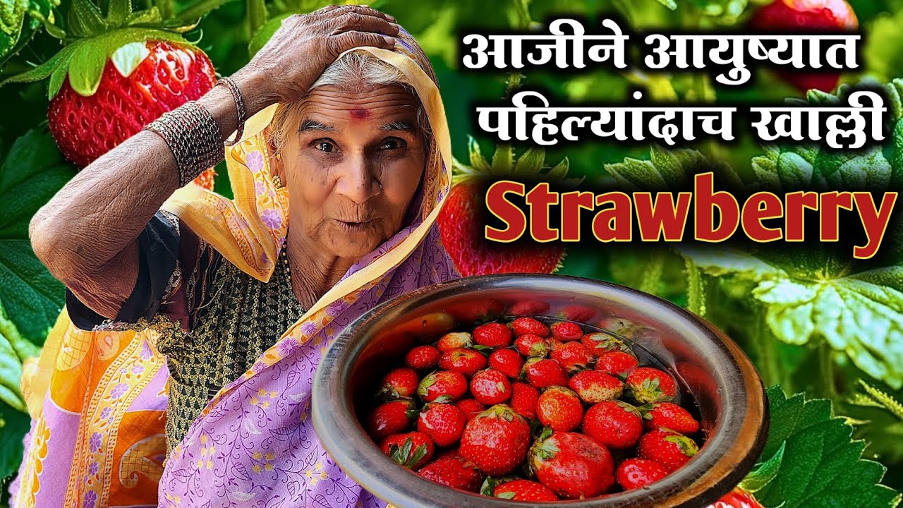 💁‍♀️आजीने तिच्या पूर्ण आयुष्यात ना स्ट्रॉबेरी खाल्ली नाही पाहिली 🙆 || तिने खाताच काय😱#niluchiaaji#yt