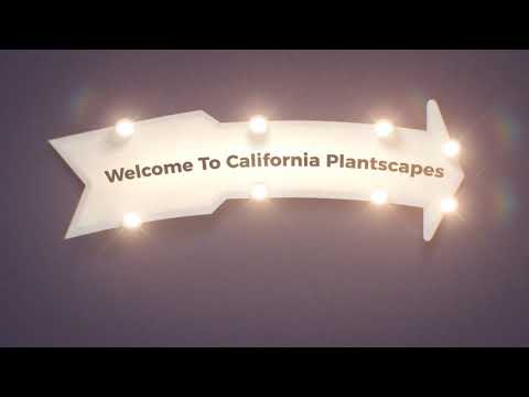 California Plantscapes Interior Plant Service in Irvine, CA