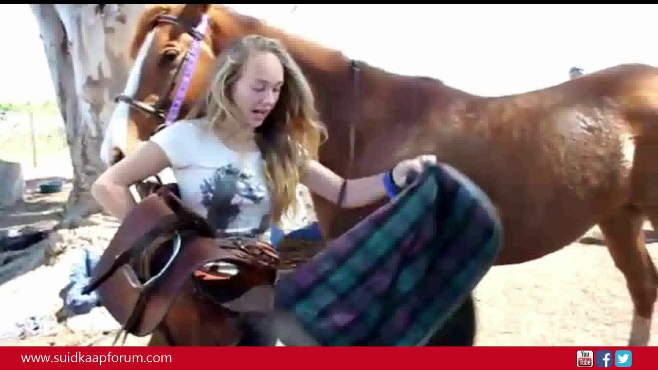 Heidelberg saal die regte perd op