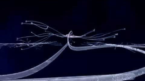 How Mercury Causes Brain Neuron Degeneration