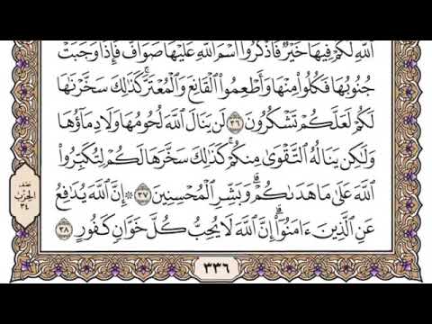 سورة الحج من آية ٣٨ ٤٦ محمد ايوب 