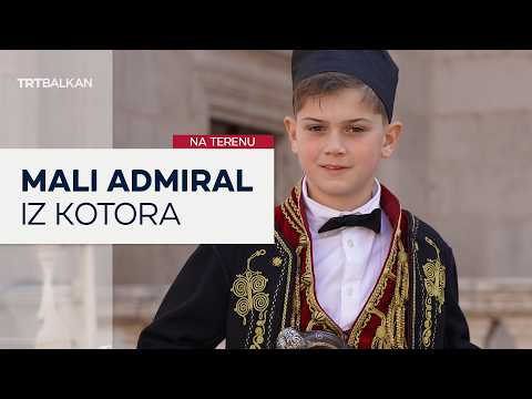 Mali admiral iz Kotora