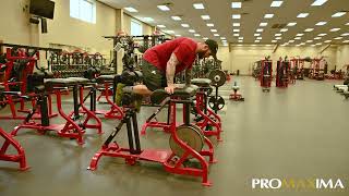 Promaxima Fitness Equipment - PL-204 Combo Glute Ham Developer / Back Extension