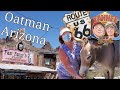 Oatman Arizona and the Burros That Run The Town Route 66 exploring