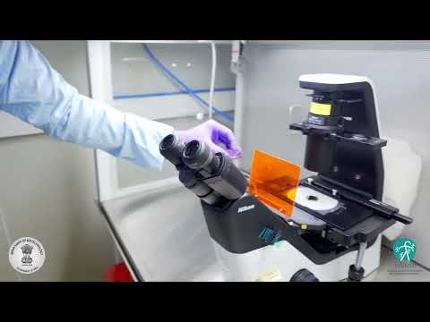 iBRIC-inStem: Pushing the boundaries of stem cell research - video from InStem