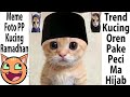 Kenapa pp kucing ramadhan ada dimana mana