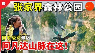 【Eng Sub】Real Life AVATAR Mountains!! Zhang Jia Jie National Park - CHINA NO.1 National Park