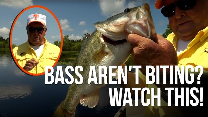 Tips for When Bass Aren't Biting