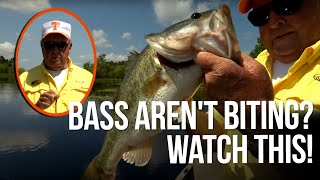 Bass aren't biting? Watch this!