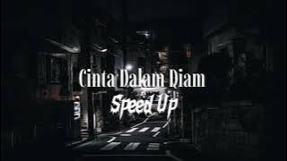 Dhany R - Cinta Dalam Diam Speed Up