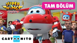 Hari̇ka Kanatlar Cenevre Araba Fuarı Kaosu Cartoonito Tam Bölüm