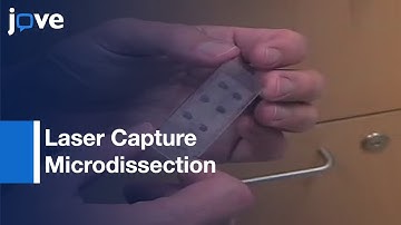 Laser Capture Microdissection Of Mammalian Tissue l Protocol Preview
