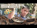 Snake Alert! Python Found Inside School Restroom | Trans 7 Global (23/11/23)