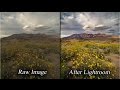 Lightroom: Intelligent & Professional Landscape Photo Raw Processing