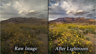 Lightroom: Intelligent & Professional Landscape Photo Raw Processing screenshot 3