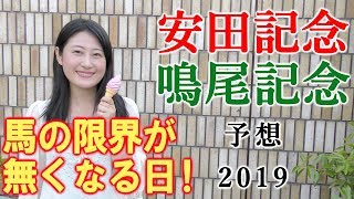 【競馬】安田記念 鳴尾記念 2019 予想（馬の限界を超える日が来たかも…） ヨーコヨソー