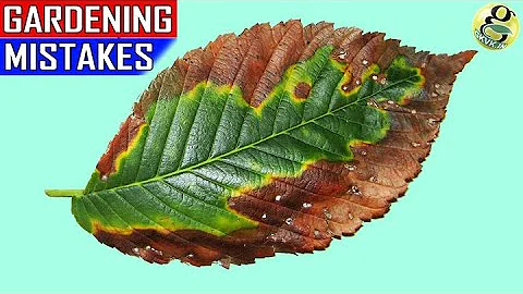 15 MAJOR GARDENING MISTAKES | Gardening Tips for Beginners