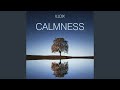 Calmness extended version