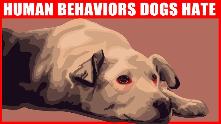 21 Human Behaviors Dogs Hate the Most - DayDayNews