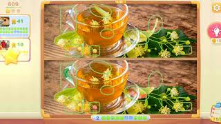 5 Differences Online Game level 809