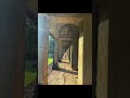 Amazing tour at Angkor Wat!