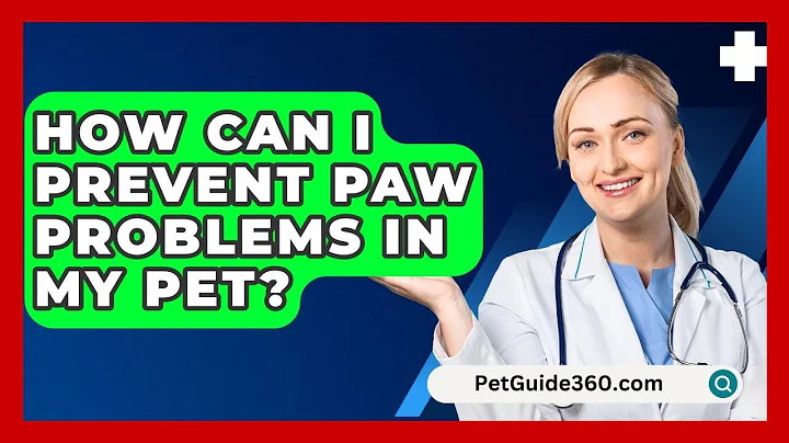 How Can I Prevent Paw Problems In My Pet? - PetGuide360.com