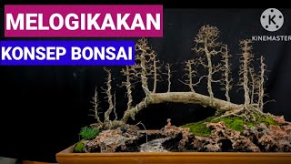 LOGICALIZING THE UNCOMMON BONSAI CONCEPT
