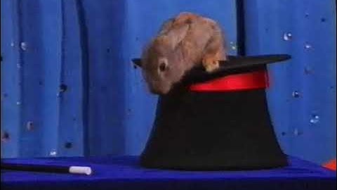 Talent Show (All Versions) Part 1023