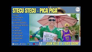 FULL ALBUM! STECU (FARIS ADAM) | PICA-PICA | NYONG TIMUR | LAGU POP TIMUR VIRAL TIKTOK 2025