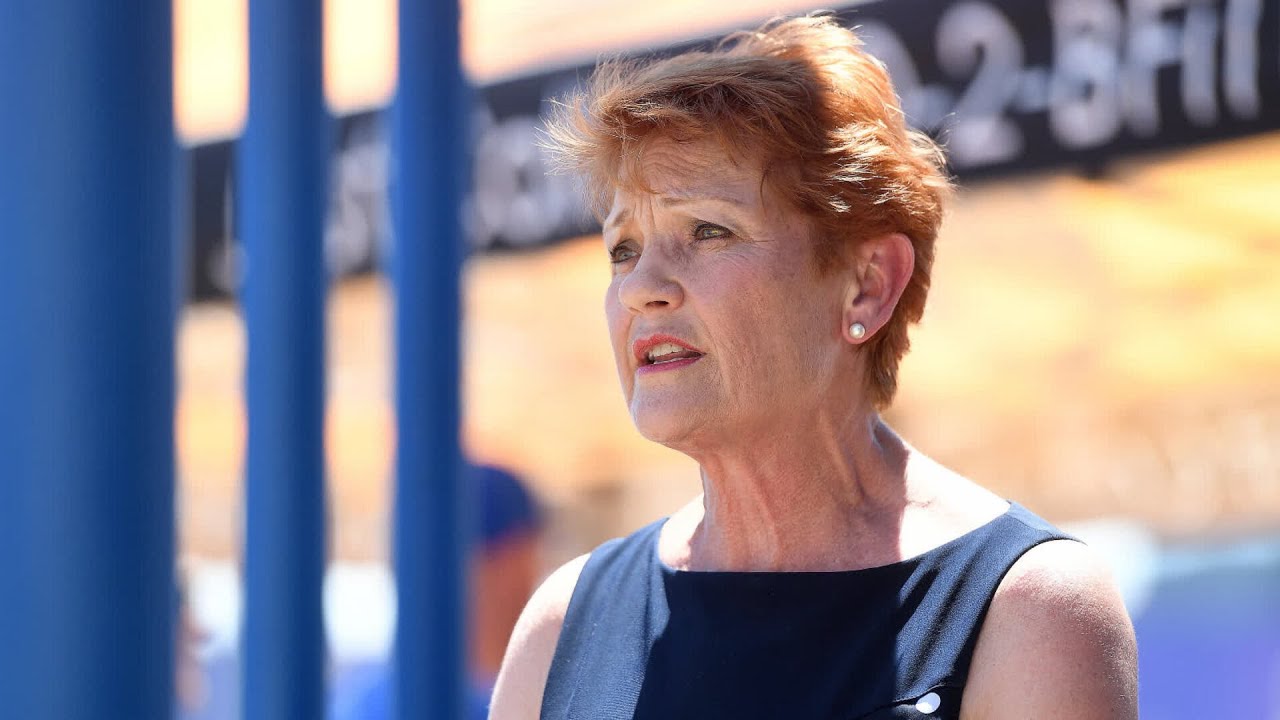 ‘We are in decline’: Pauline Hanson hits out against immigration