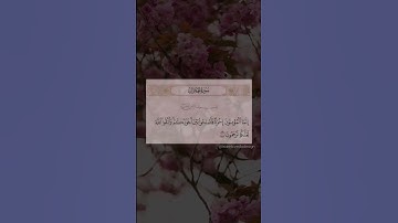 إنما المؤمنون إخوة - سورة الحجرات رعد الكردي #سورة_الحجرات #القرآن_الكريم