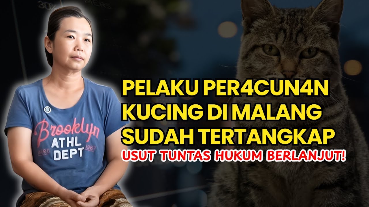 Ungkap pelaku per4cun4n kucing di malang!! Cctv ini cukup jadi bukti kuat!