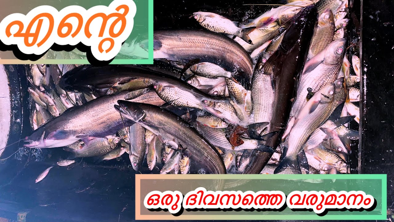 ഇങ്ങനെയൊക്കെ ആണ് എന്റെ ഓരോ ദിവസവും 🥰