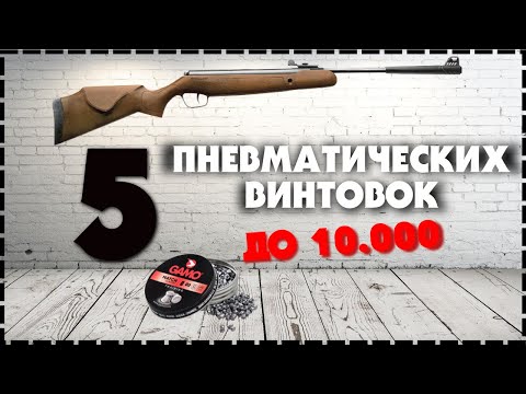 Топ 5 Пневматических Винтовок До 10000