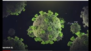 Pacientes contaminados com a COVID-19 devem descartar itens de higiene pessoal, mesmo em casa