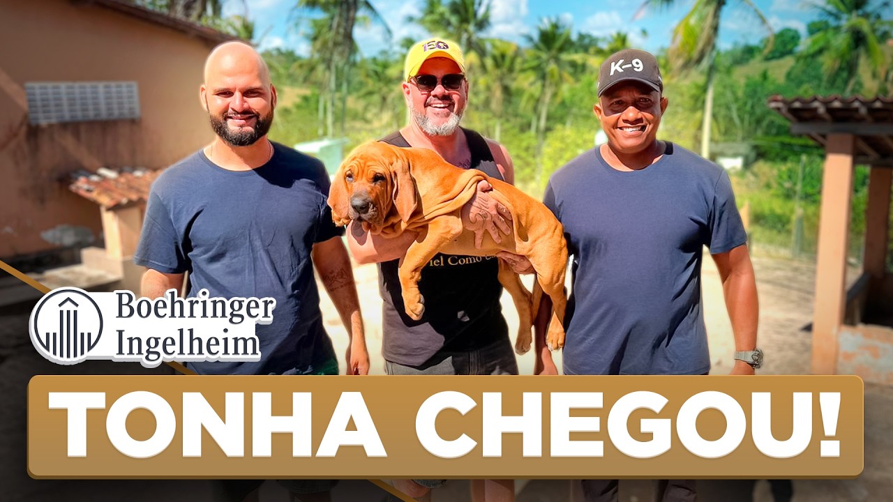 Fui buscar minha FILHOTE de FILA BRASILEIRO em Aracaju! (O teste real) | Cinofilia Digital