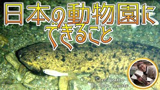 ライブ配信！日本の動物園にできること
