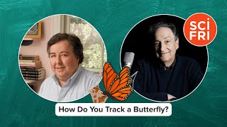 How Do You Track A Monarch?