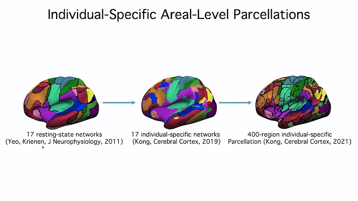 OHBM 2024 | Symposium | Ruby Kong |  Behavioural relevance of functional connectivity-based indivi…