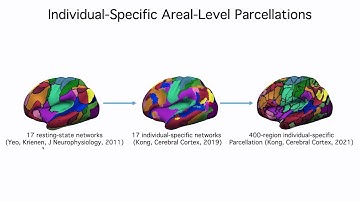 OHBM 2024 | Symposium | Ruby Kong |  Behavioural relevance of functional connectivity-based indivi…